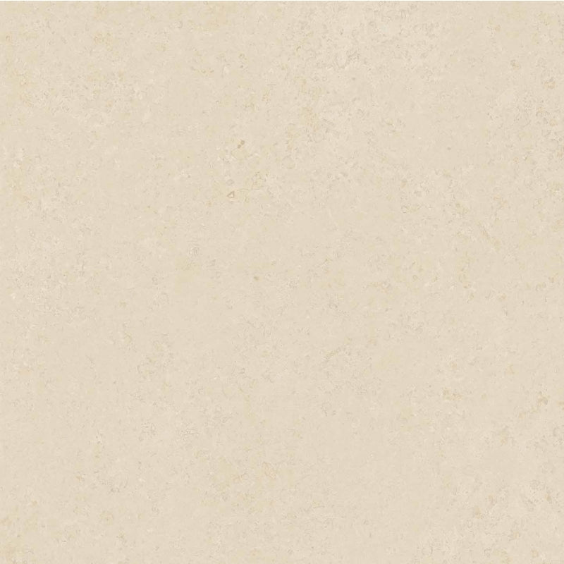 FABINHA-FABINHASA-renovation-construction-salledebain-wc-toilette-cuisine-renens-lausanne238-761-gardenia-vstone-frame-white-60x60