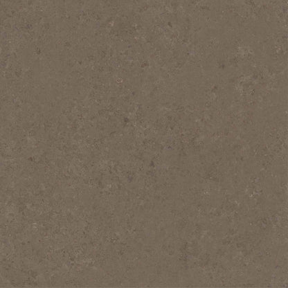 FABINHA-FABINHASA-renovation-construction-salledebain-wc-toilette-cuisine-renens-lausanne238-761-gardenia-vstone-frame-white-60x60