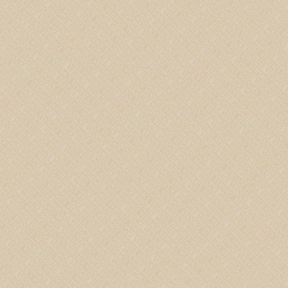 FABINHA-FABINHASA-renovation-construction-salledebain-wc-toilette-cuisine-renens-lausanne76-86-PF60011021