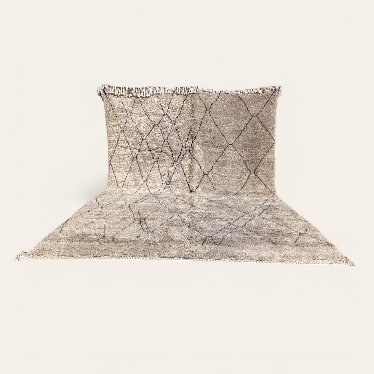 fabinha-fabinhasa-rénovation-tapis-luxe-qualité-construction-salledebain-salon-moderne