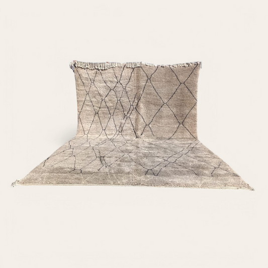 fabinha-fabinhasa-rénovation-tapis-luxe-qualité-construction-salledebain-salon-moderne